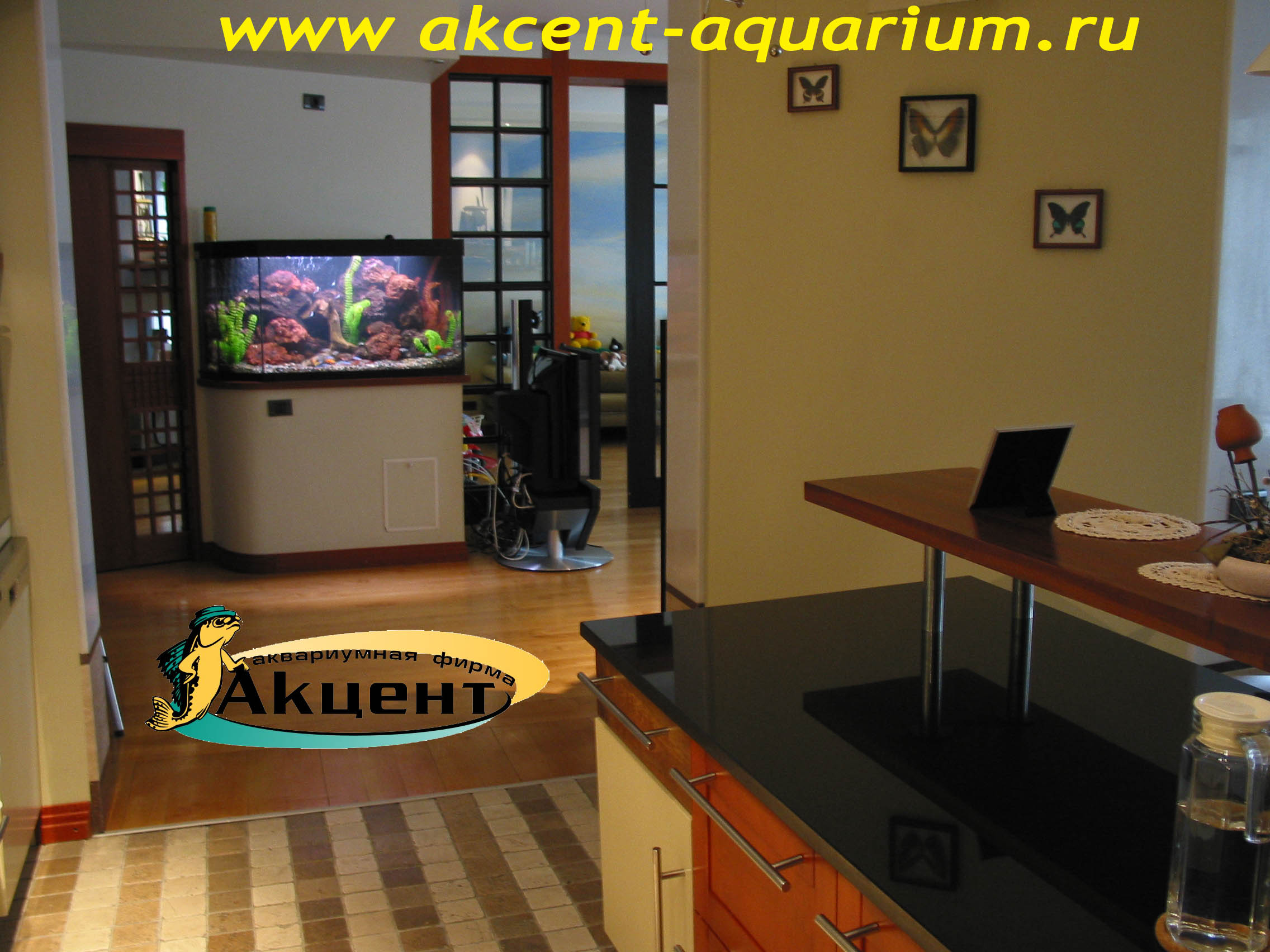 Акцент-Аквариум, аквариум просмотровый 400 литров, вид со стороны кухни